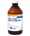 Cal: Mag Berry Liquid